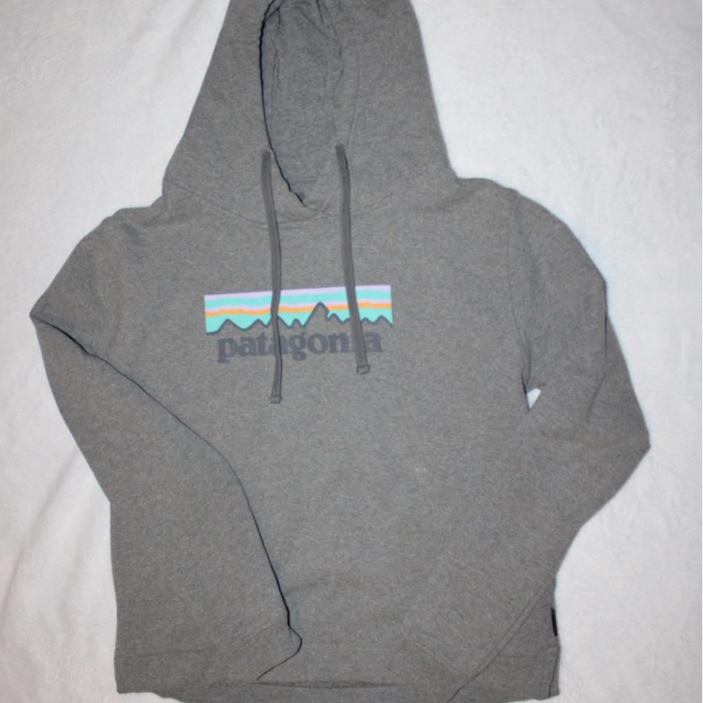 Patagonia Gray sweatshirt